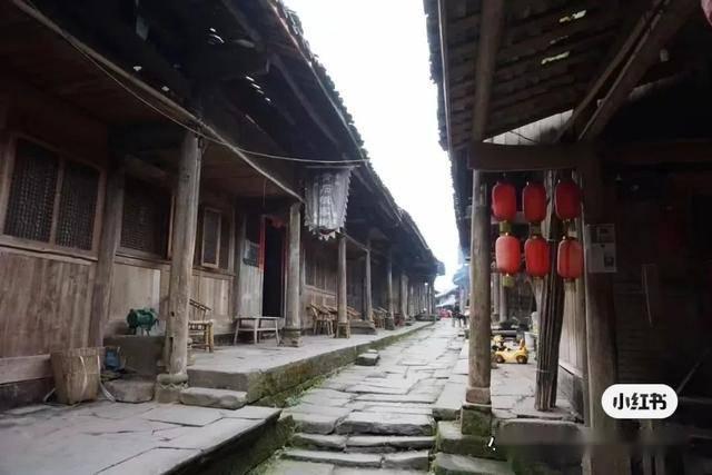 一口气刷完，这国产片绝对是被埋没了